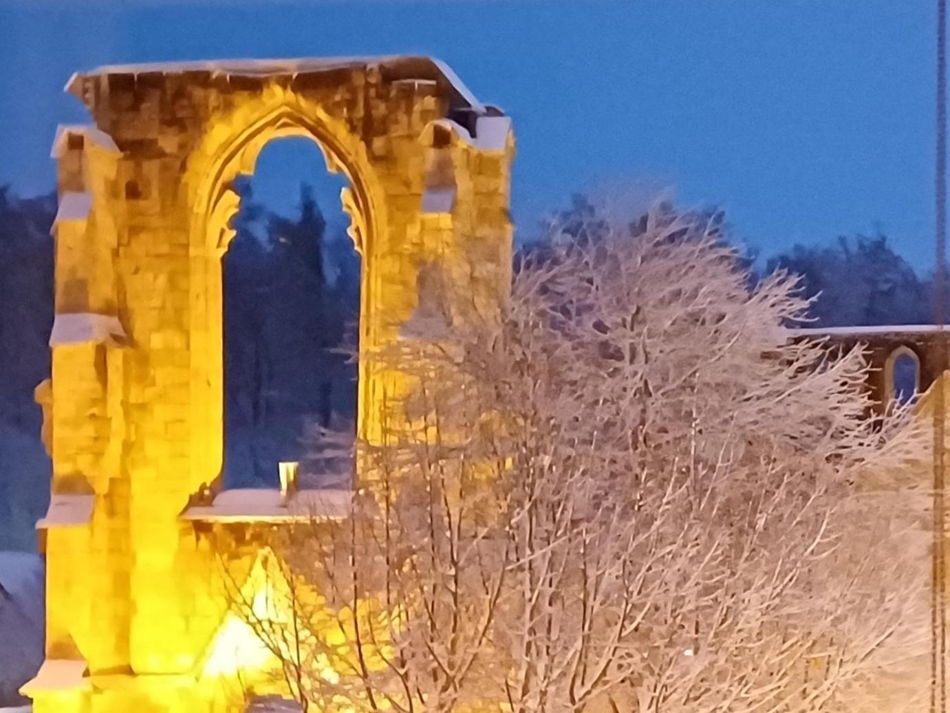 Ferienwohnungen Klosterblick Walkenried Luaran gambar
